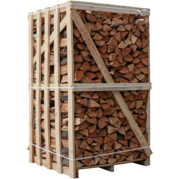 Birkenholz Brennholz 25cm 2 Raummeter Kammergetrocknet Palette
