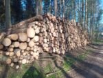 Stammholz – Nadelholz – Bild 2